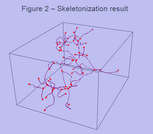 Load the image 3D_Skeleton_fig2...