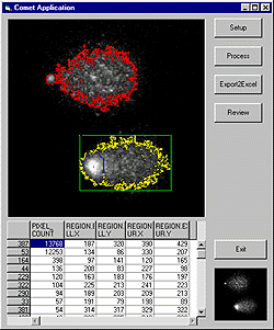 Loading images/comet.gif