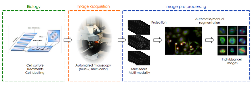 RAMIS: Generación de base de datos de imagen