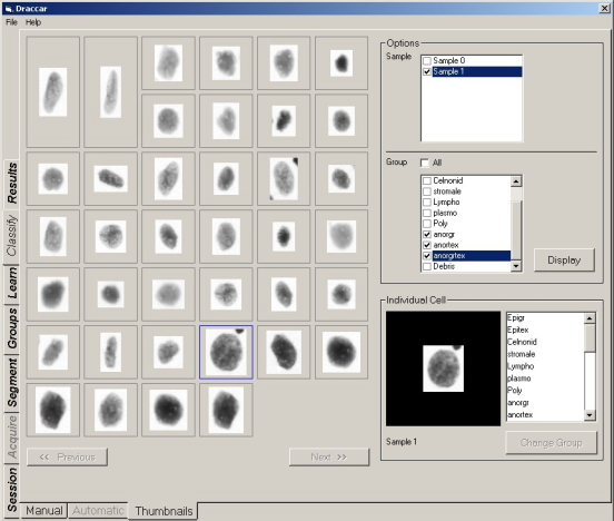 Cell classification