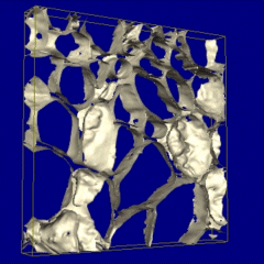 3D image of beet displayed in isosurface mode.