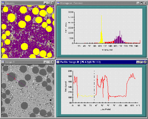 Histo.gif - 497 x 400