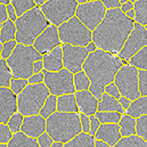 Grain boundary detection